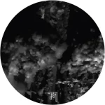 TELEMORPH004CD-FRONTCOVER Taciturn Manner Lp