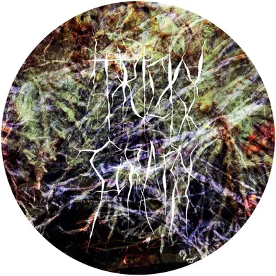 Root Zone