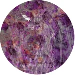 TG001-FRONTCOVER Root Zone