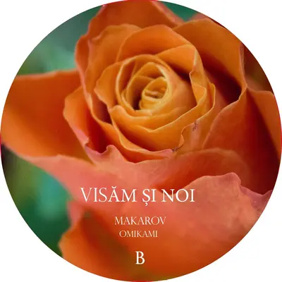 Ne Cunoastem / Visam Si Noi