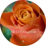 VANTA001-FRONTCOVER Ne Cunoastem / Visam Si Noi