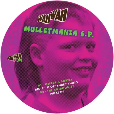 Mulletmania
