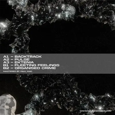 Modern Misdirection (/ 180 Grams)