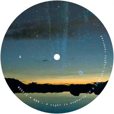 A Night In Euphoria Ep