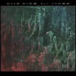 XYS002-FRONTCOVER Positive Disintegration