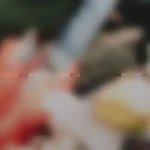 HYSEP66-FRONTCOVER Kazoo