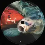 KOI009-FRONTCOVER Captain D