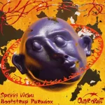 OOR01-FRONTCOVER Bootstrap Paradox