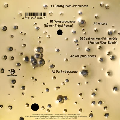 SC012-BACKCOVER Direct Hits (With Two Roman Flügel Remixes)