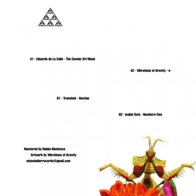 Decoded