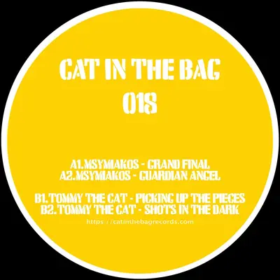 Cat In The Bag 018