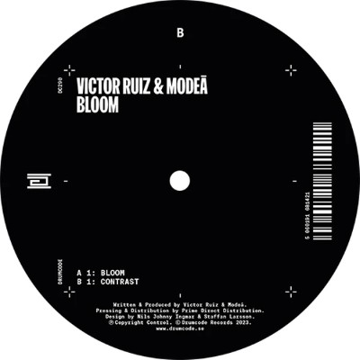 Bloom