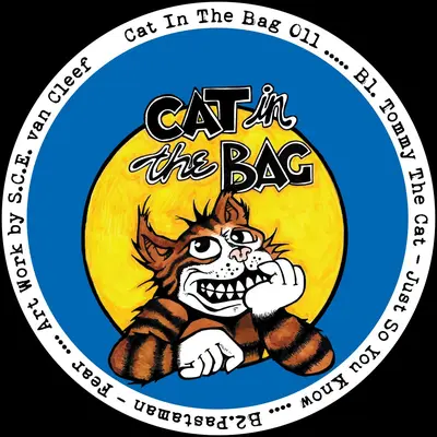 Cat Chasing The Mouse