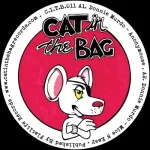 Cat Chasing The Mouse