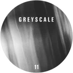 GREYSCALE11-FRONTCOVER Penumbra / Viridis