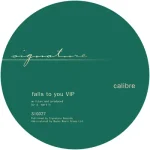 Falls To You Vip / End Of Meaning