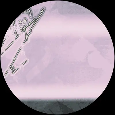 Foglore #1