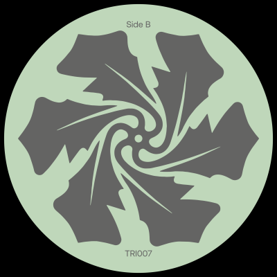 Terciopelo Negro