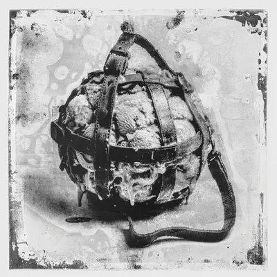 MORD125-FRONTCOVER Dog Flavored Cat Chew Ep