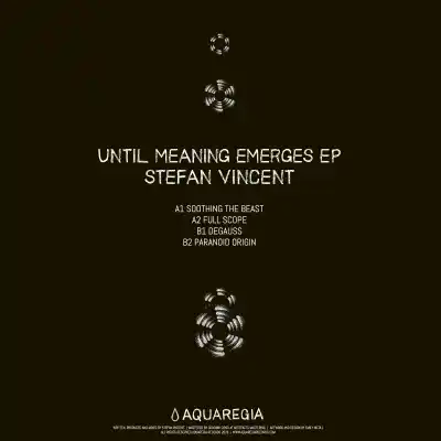 Until Meaning Emerges Ep
