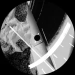 The Bizz Ep