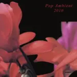 KOMPAKT207 Pop Ambient 2010