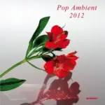 KOMPAKT247 Pop Ambient 2012