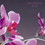 KOMPAKT345 Pop Ambient 2016