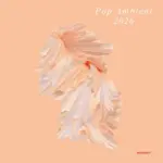 KOMPAKT503 Pop Ambient 2026