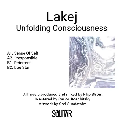 Unfolding Consciousness
