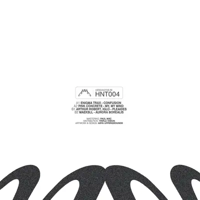 Hnt004