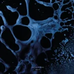 Blazej Malinowski - Nocturnal Shadows