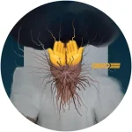 Super-8.10 (Vinyl Only)