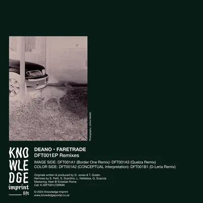 Dft001 Remixes (Printed / Stickered Sleeve)