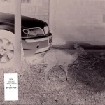 K-IDFT001LTDRMX-FRONTCOVER Dft001 Remixes (Printed / Stickered Sleeve)