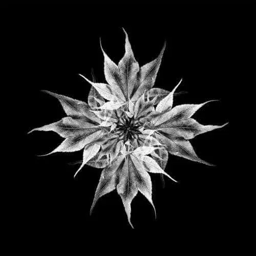 AQR018_front Kaede EP