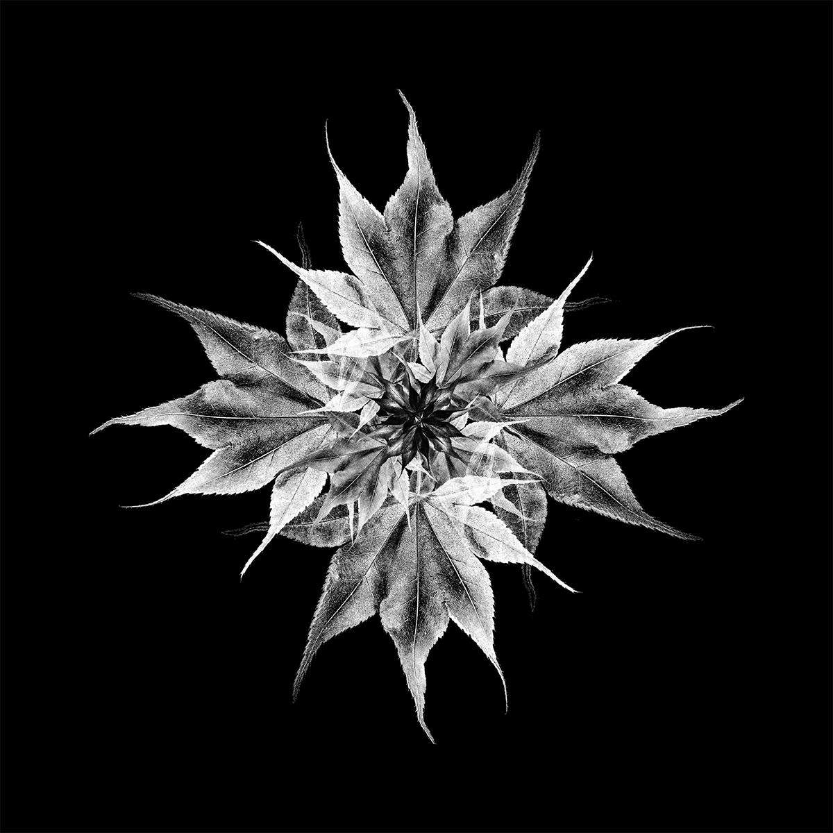 album-art