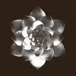 AQR022_front Moods EP
