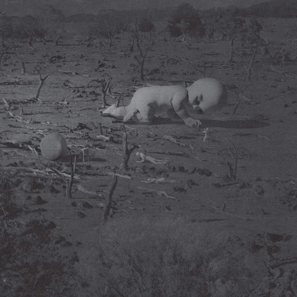 album-art