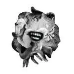 EAR030_front Music For The Wilted Generation