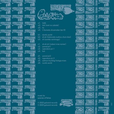 Some Songs Of A Dumb World