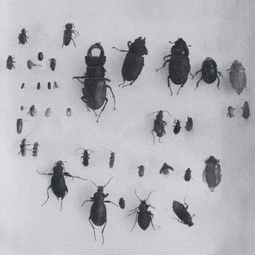 You Can't Step On the Same Risk Twice