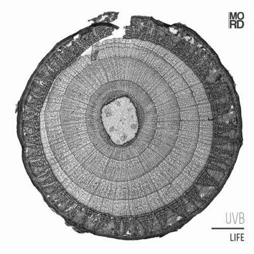 MORDLP001 Life