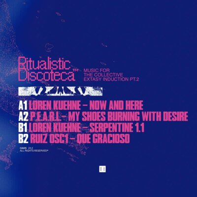 Ritualistic Discoteca Music For The Collective Extasy Induction Pt.2