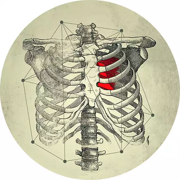 album-art