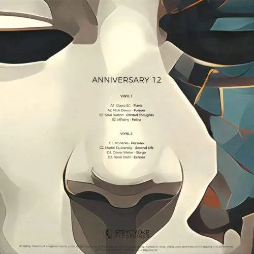 SYYK241V Steyoyoke Anniversary Vol. 12