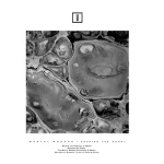 Chasing The Ghost Ep (180 Grams /)