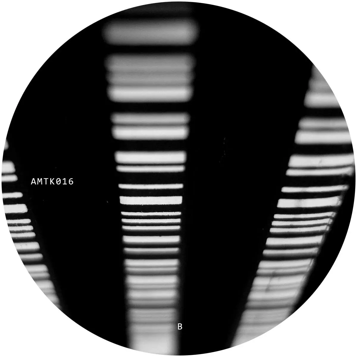 Amotik 016