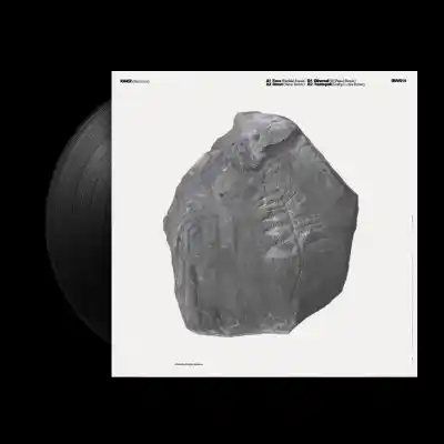 Remixes (Printed Sleeve)