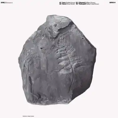 Remixes (Printed Sleeve / Red Vinyl)